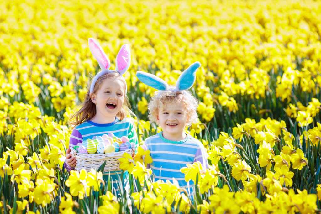Things To Do Easter Holidays with the Kids Woodside Lodges Website